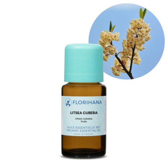 Litsea Cubeba (May Chang) Organic